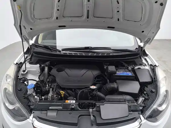 Hyundai Elantra Langdong 2014