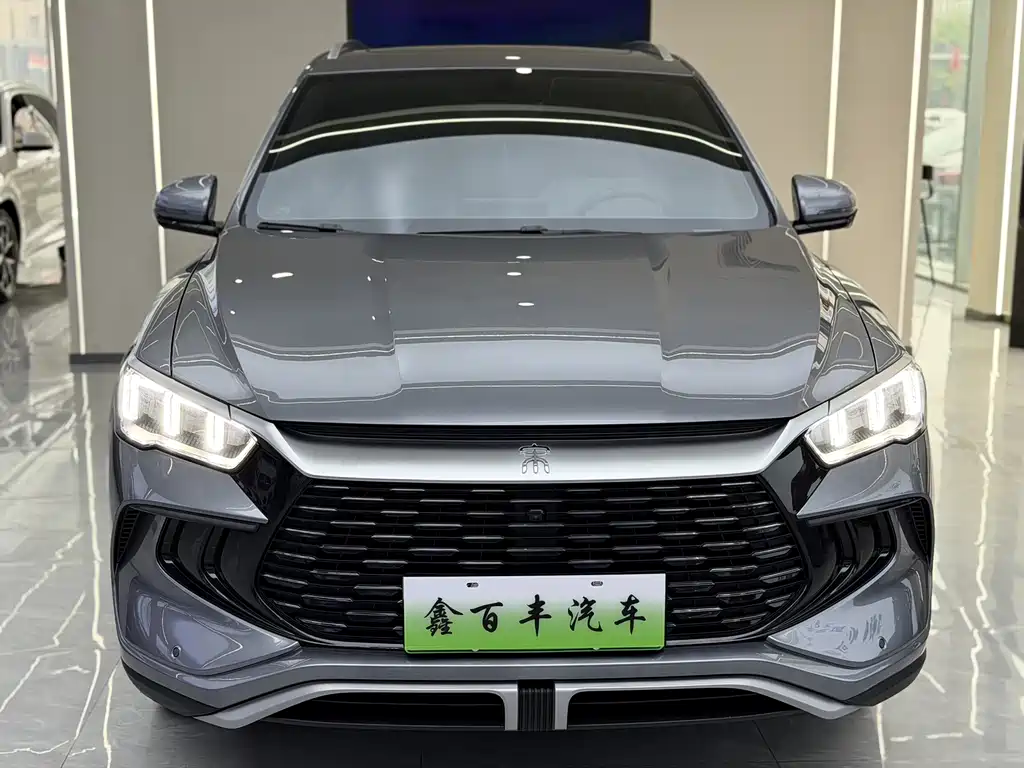 BYD Song Pro New Energy 2024 — фото 2