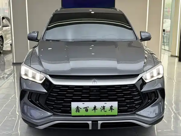 BYD Song Pro New Energy 2024