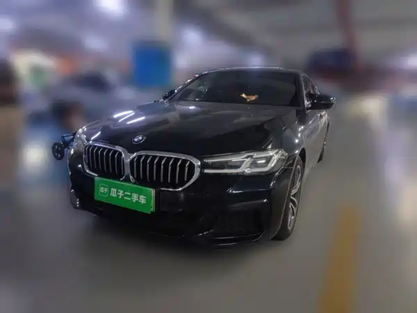 BMW 5 Series New Energy 2021