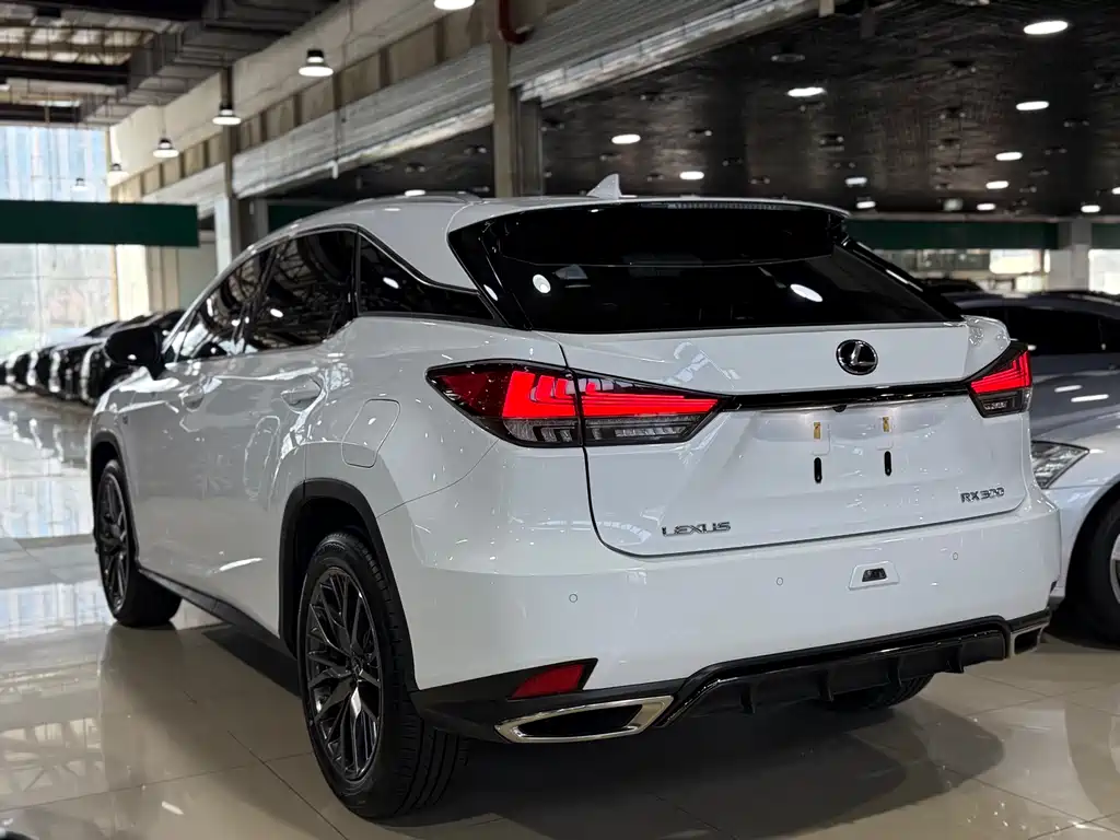 Lexus RX 2020 — фото 20