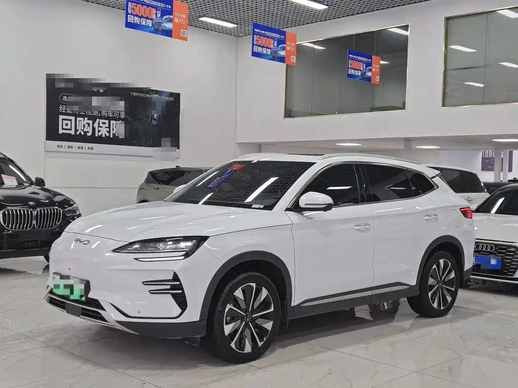 BYD PLUS New Energy 2024 — фото 1