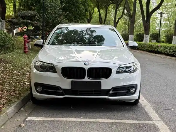 BMW 5 Series 2015