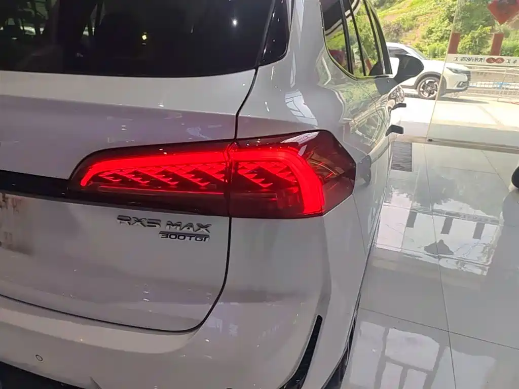 Roewe RX5 MAX 2023 — фото 8