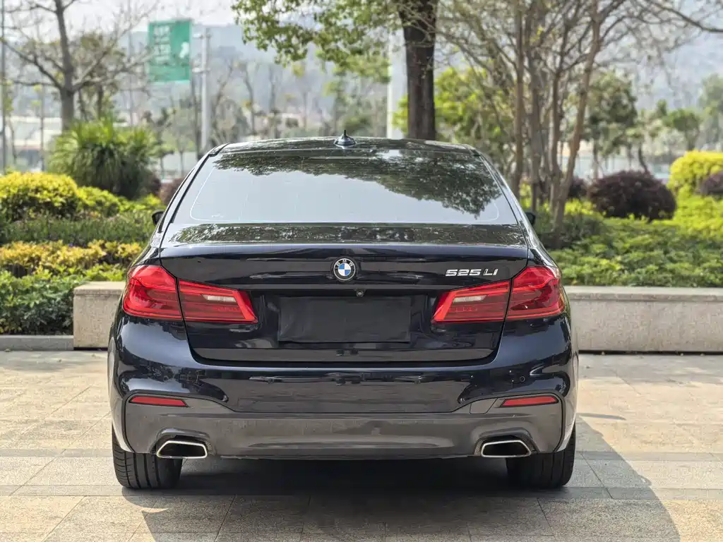 BMW 5 Series 2020 — фото 12