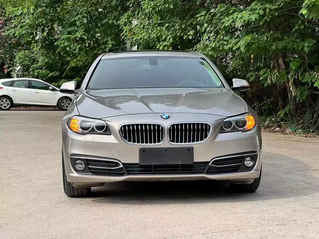 BMW 5 Series 2017 — фото 2