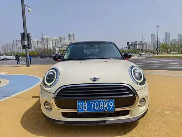 MINI 2019