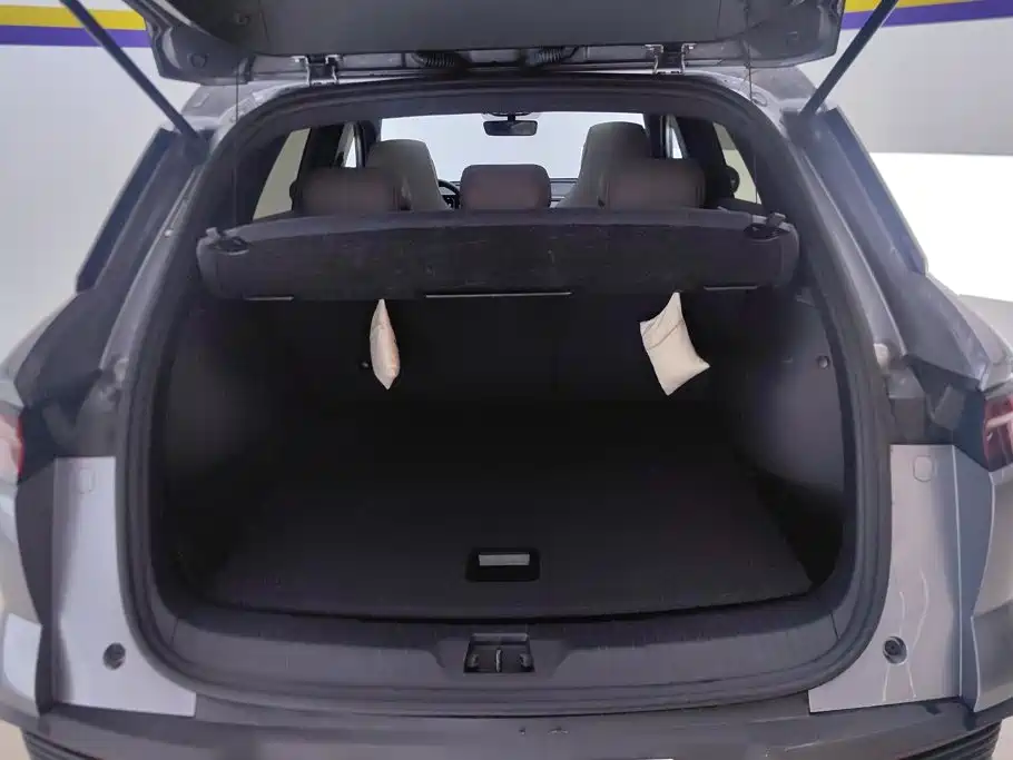 BYD Song Pro New Energy 2024 — фото 4
