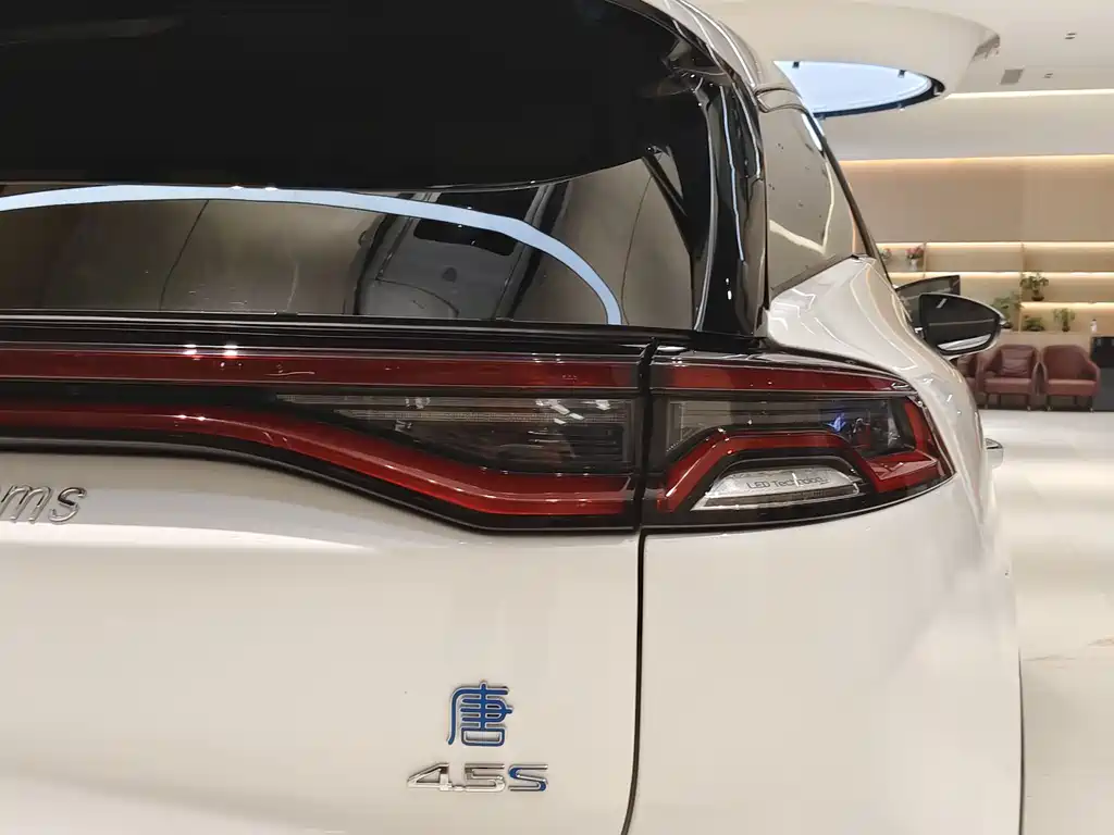 BYD Tang New Energy 2019 — фото 21