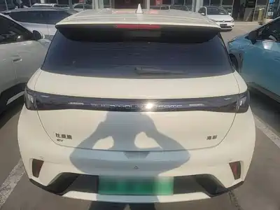 BYD Dolphin 2024