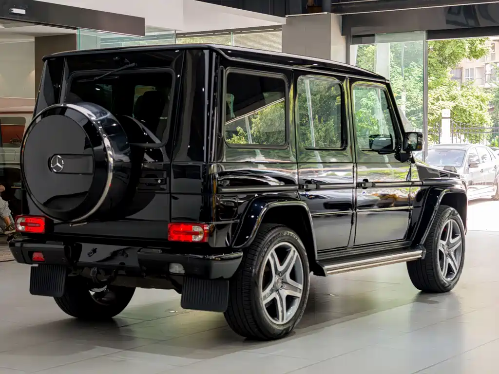 Mercedes-Benz G-Class 2010 — фото 19