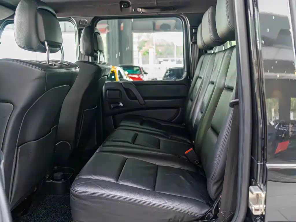 Mercedes-Benz G-Class 2010 — фото 15