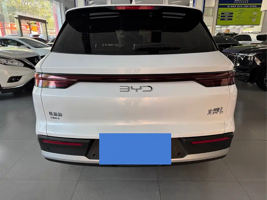 BYD Pro New Energy 2024 — фото 4