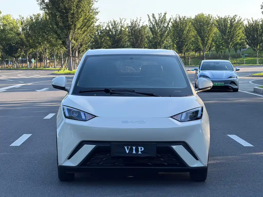 BYD Seagull 2023