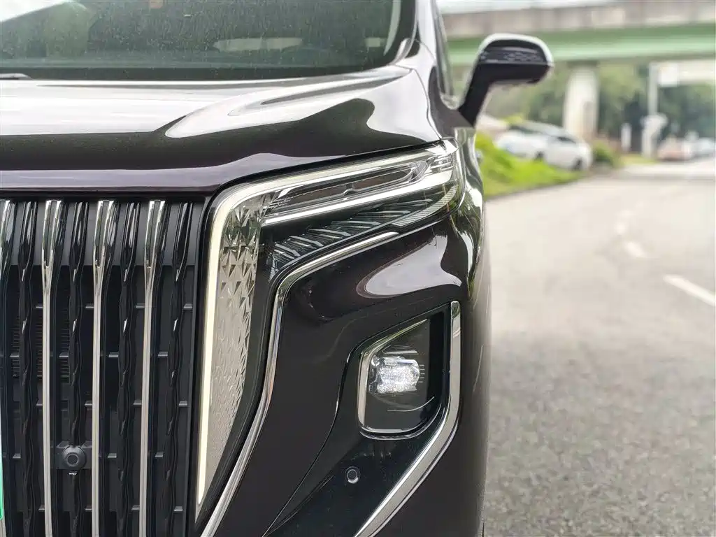 Hongqi HQ9 PHEV 2024 — фото 23