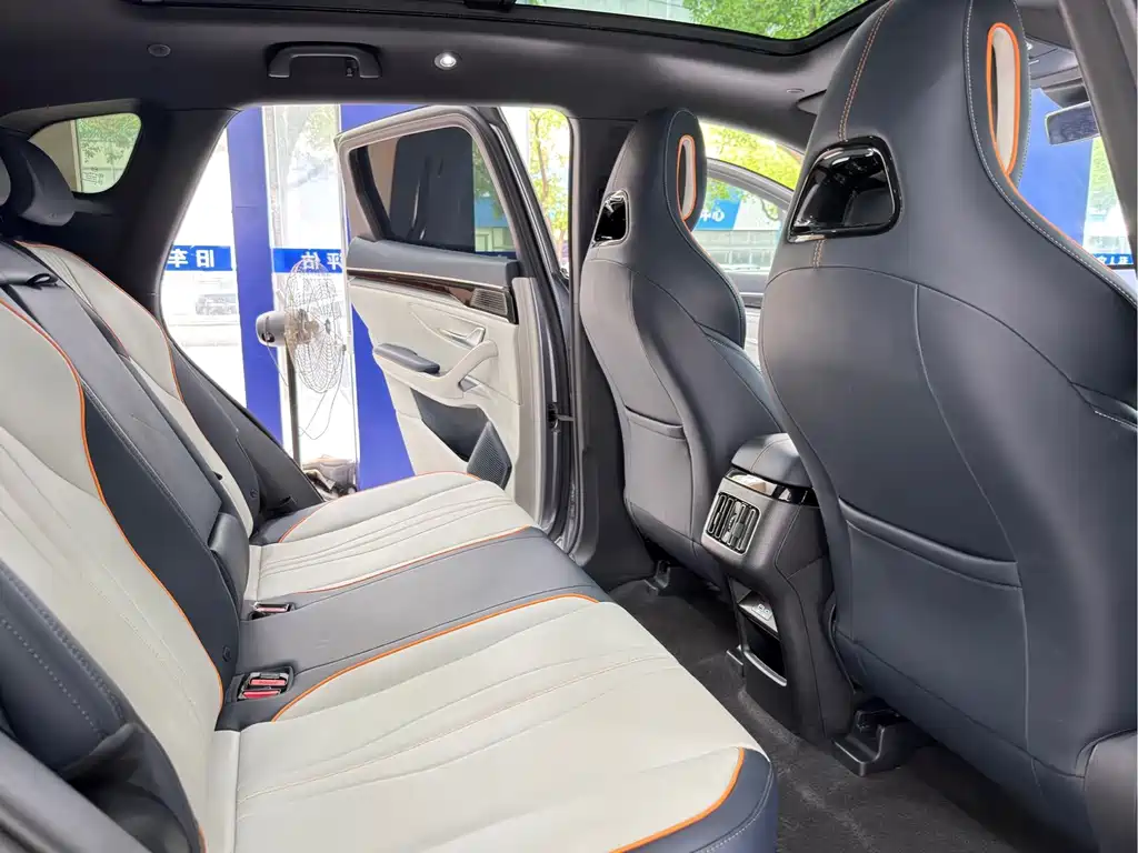 BYD Song PLUS New Energy 2024 — фото 14