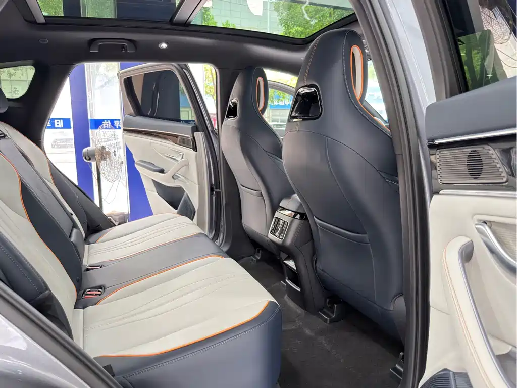 BYD Song PLUS New Energy 2024 — фото 15