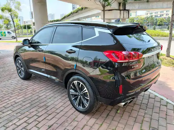 Wey VV6 2020
