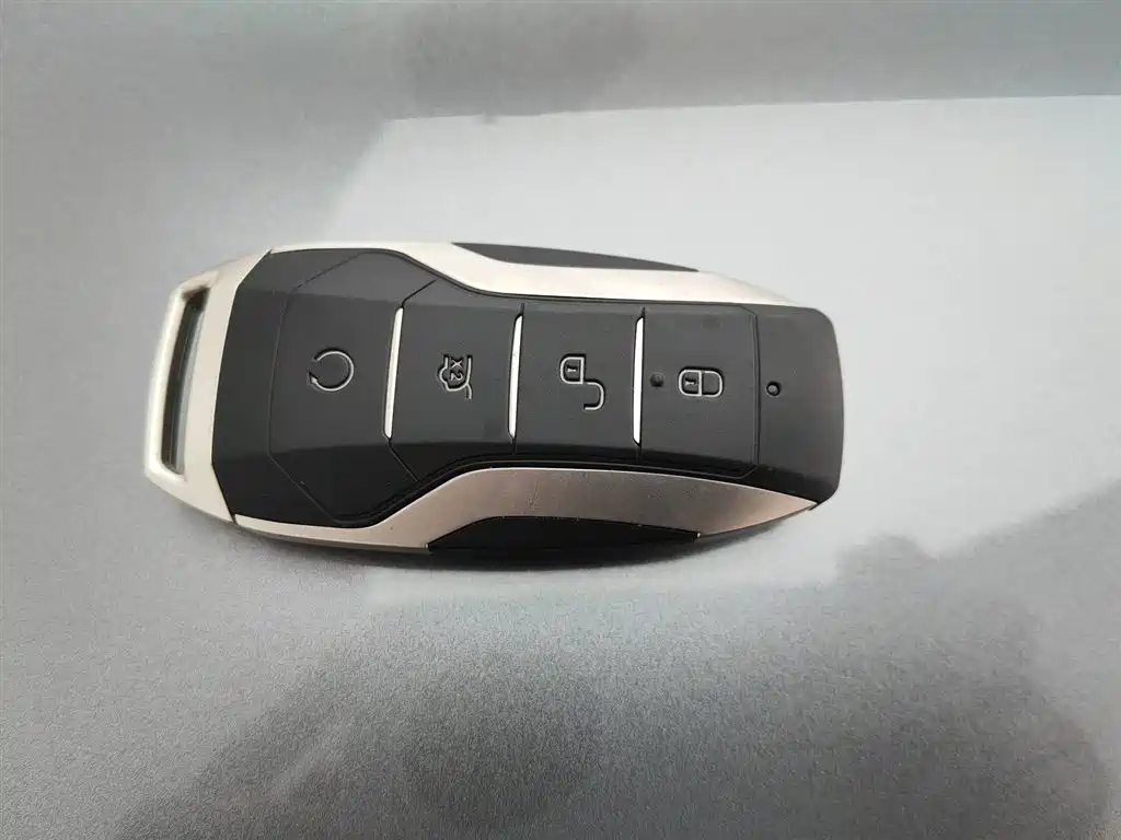 BYD PLUS New Energy 2023 — фото 19