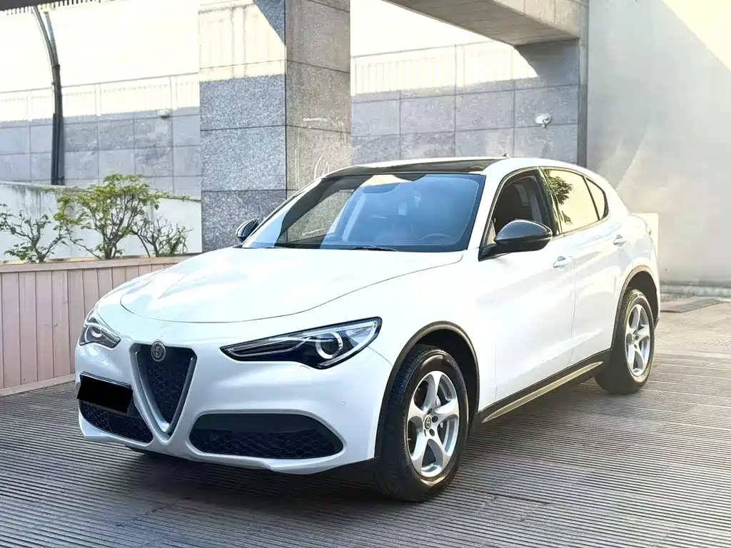 Alfa Romeo Stelvio 2019 — фото 1