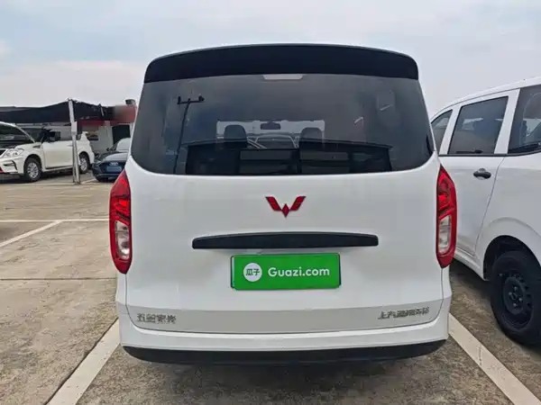 Wuling Hongguang New Energy 2024