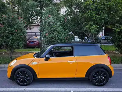 MINI MINI 2015