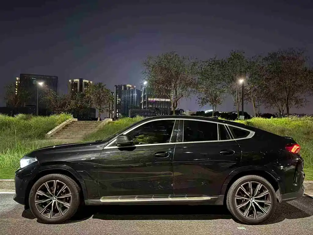 BMW X6 2021 — фото 8