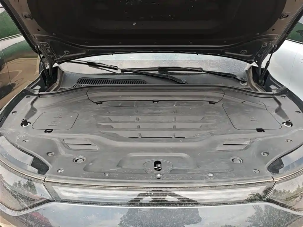 Leapmotor C11 2023 — фото 20