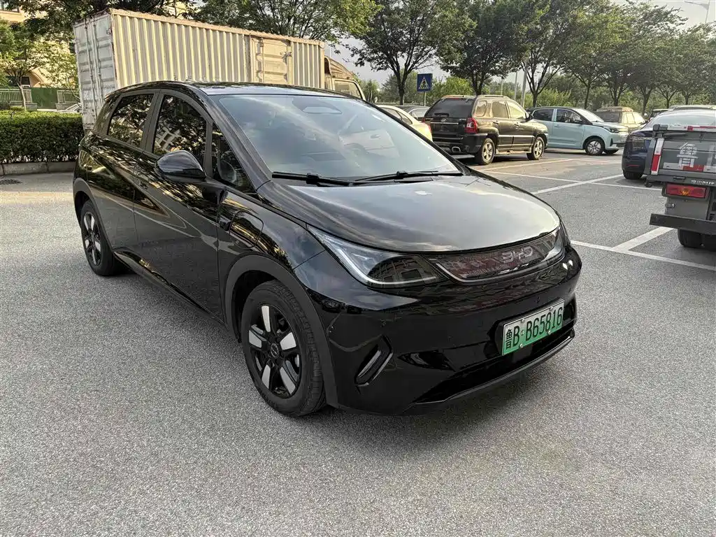 BYD Dolphin 2025