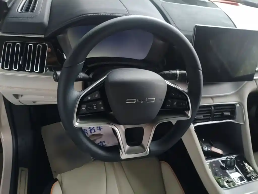 BYD Song PLUS New Energy 2024 — фото 11