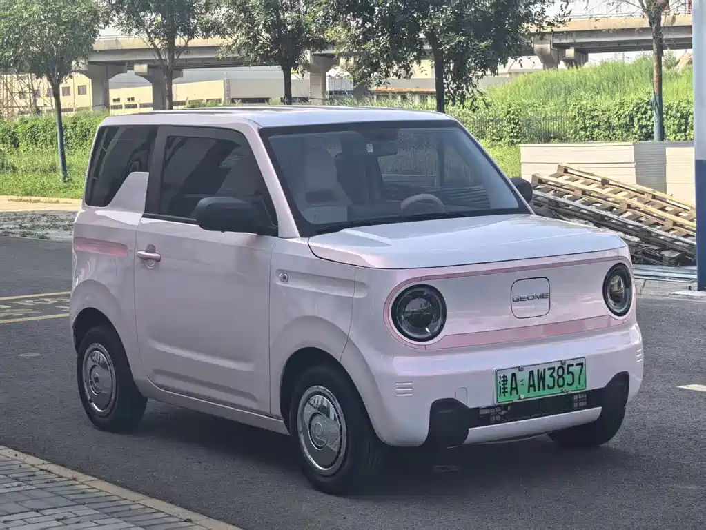 Geely Galaxy Panda 2024