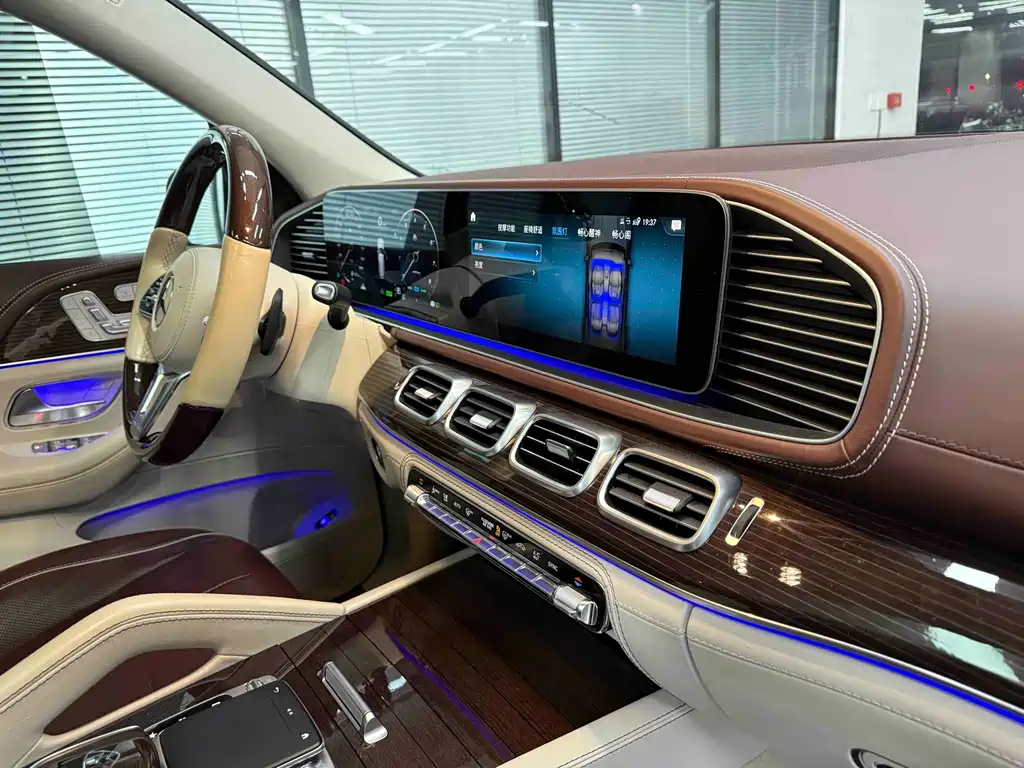 Mercedes-Benz Maybach GLS 2021 — фото 17