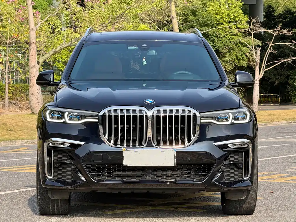 BMW X7 2022 — фото 2