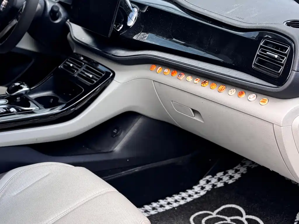 BYD Qin PLUS 2023 — фото 8