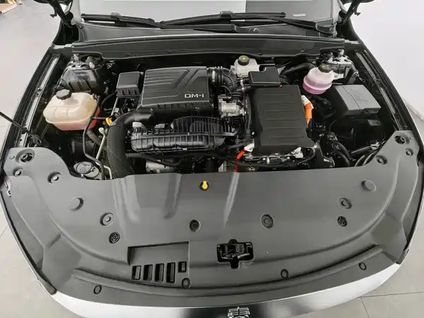 BYD Qin PLUS 2024