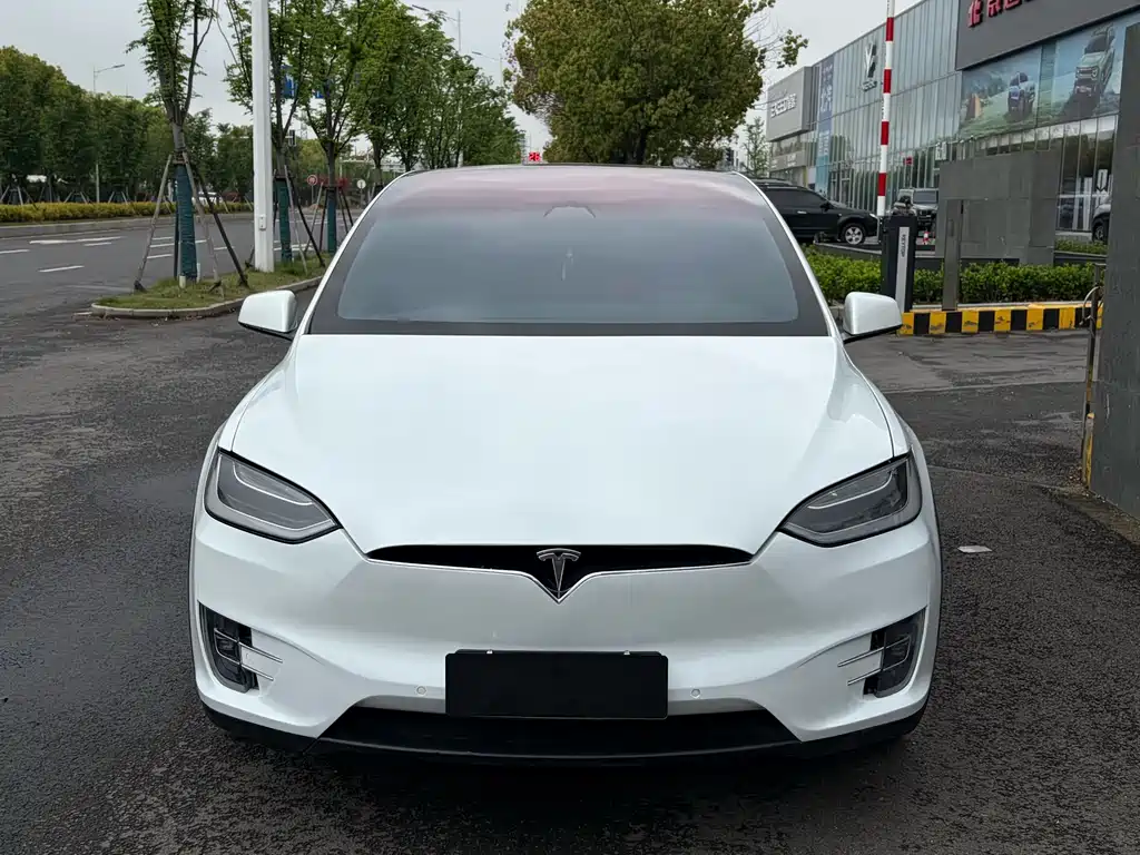 Tesla Model X 2018 — фото 2