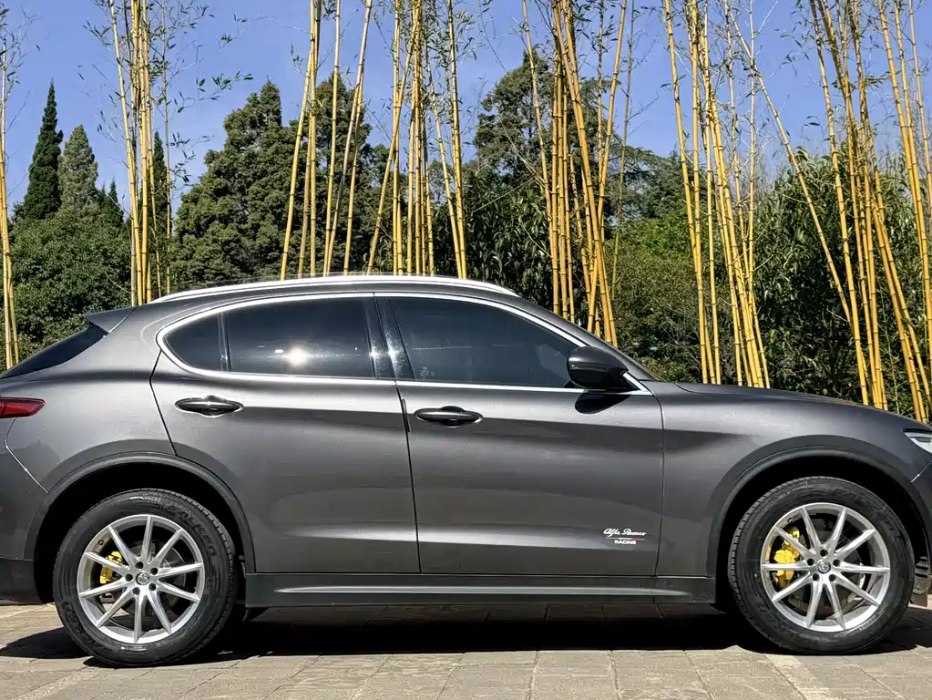 Alfa Romeo Stelvio 2020 — фото 6