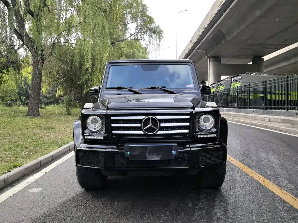 Mercedes-Benz G-Class 2018 — фото 2