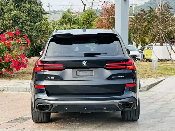 BMW X5 2024