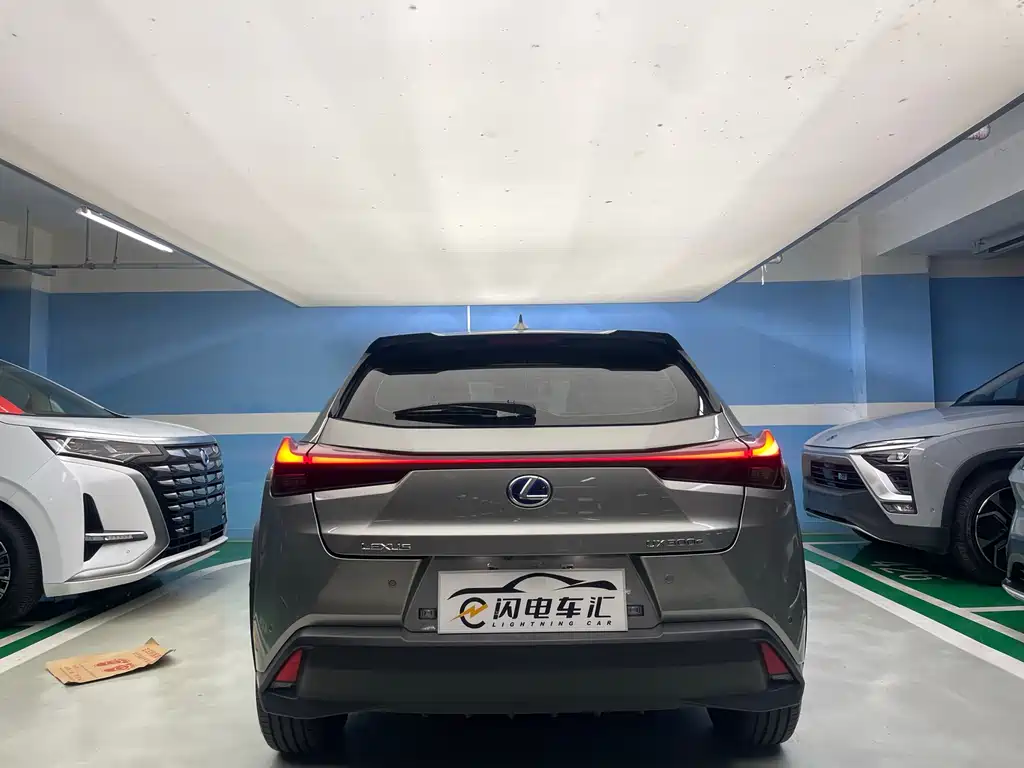 Lexus UX New Energy 2022 — фото 7