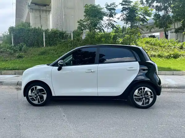 Ora Black Cat 2022