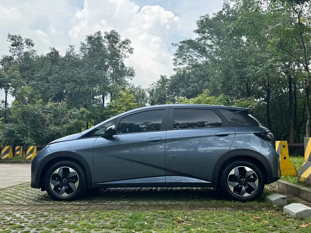 BYD Dolphin 2025
