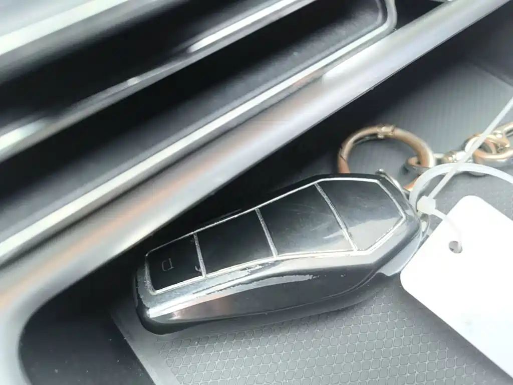 BYD Song Pro New Energy 2024 — фото 17