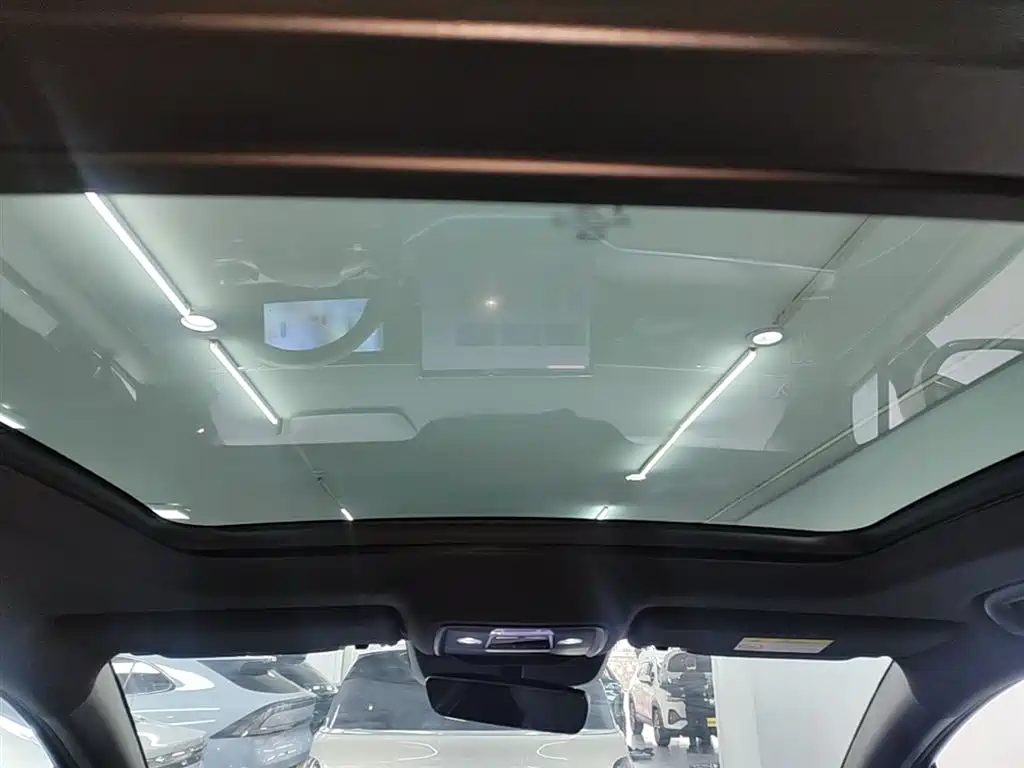 BYD L DM-i 2025 — фото 14