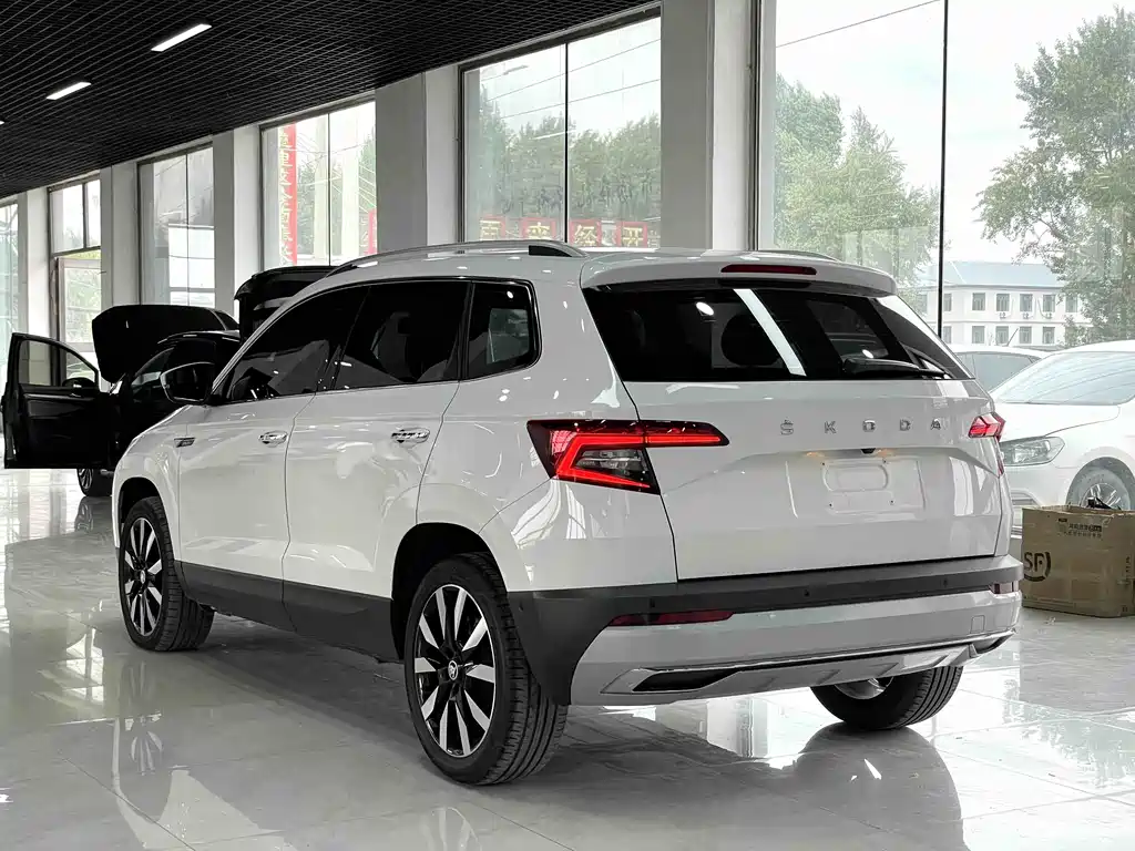 Skoda Karoq 2021 — фото 16