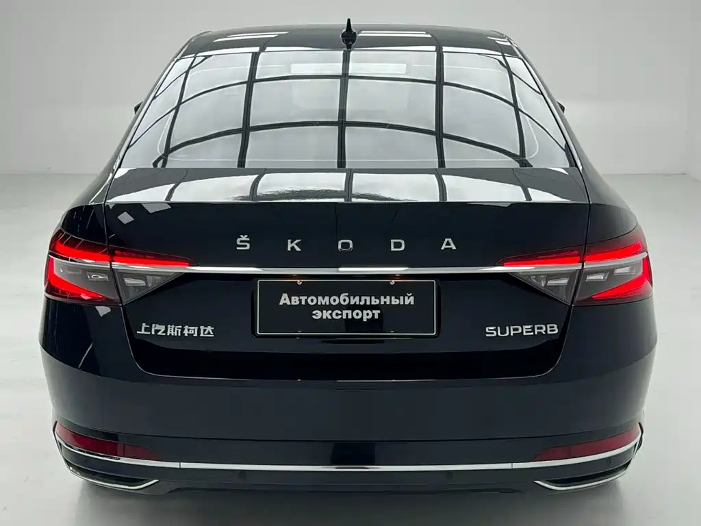 Skoda Speedy 2024 — фото 8