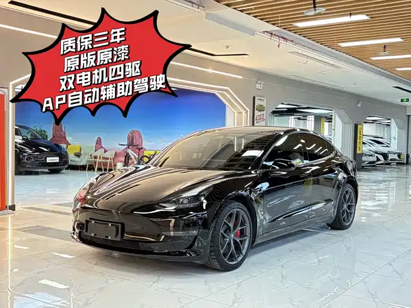Tesla Model 3 2022