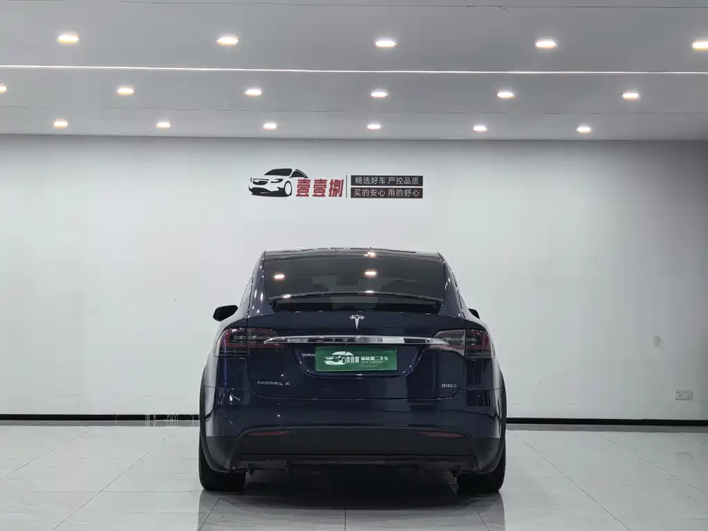 Tesla Model X 2017 — фото 7