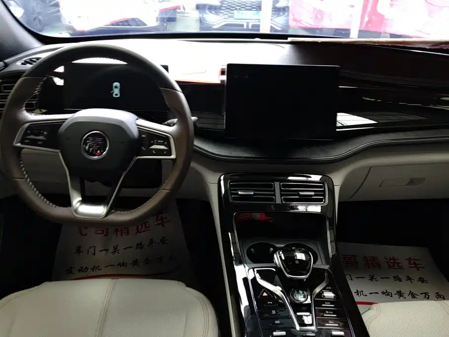 BYD Qin PLUS 2023 — фото 12