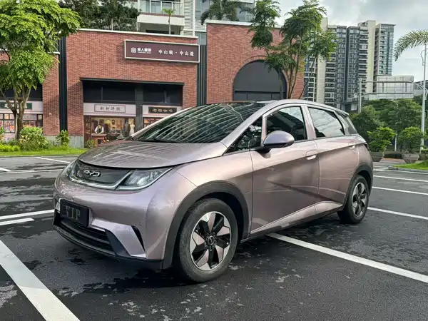 BYD Dolphin 2024